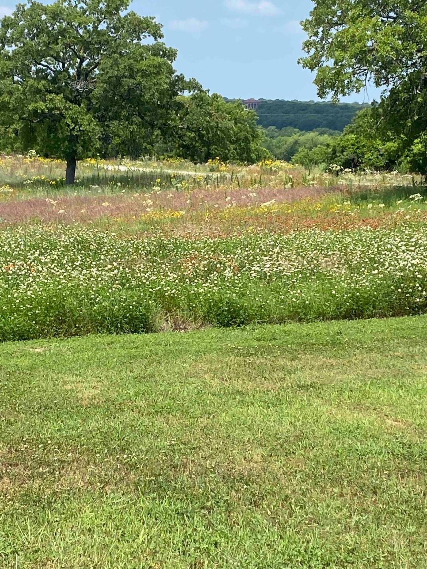Nature Retreateclectic Country Boho Farmhouse Nocona Extérieur photo