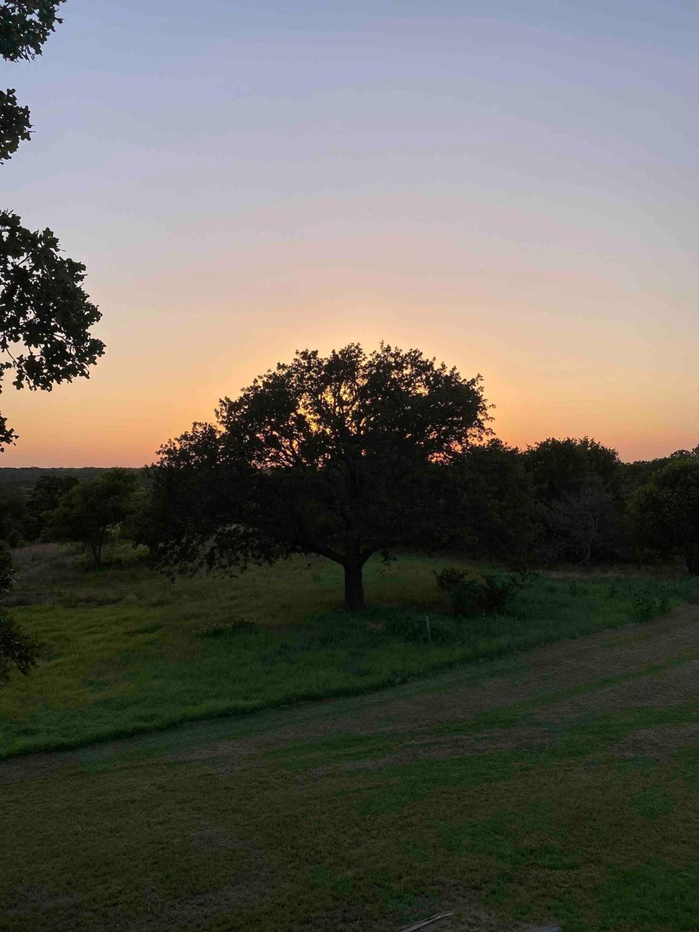 Nature Retreateclectic Country Boho Farmhouse Nocona Extérieur photo