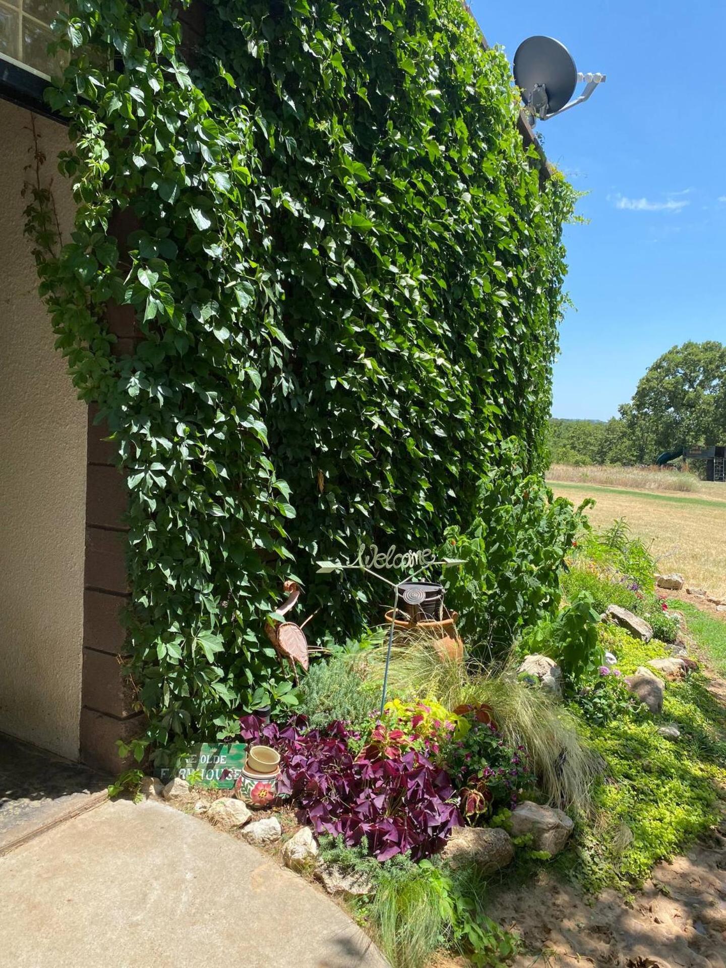 Nature Retreateclectic Country Boho Farmhouse Nocona Extérieur photo